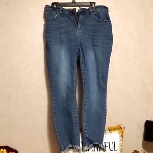 NWOT Judy Blue skinny fit 18w